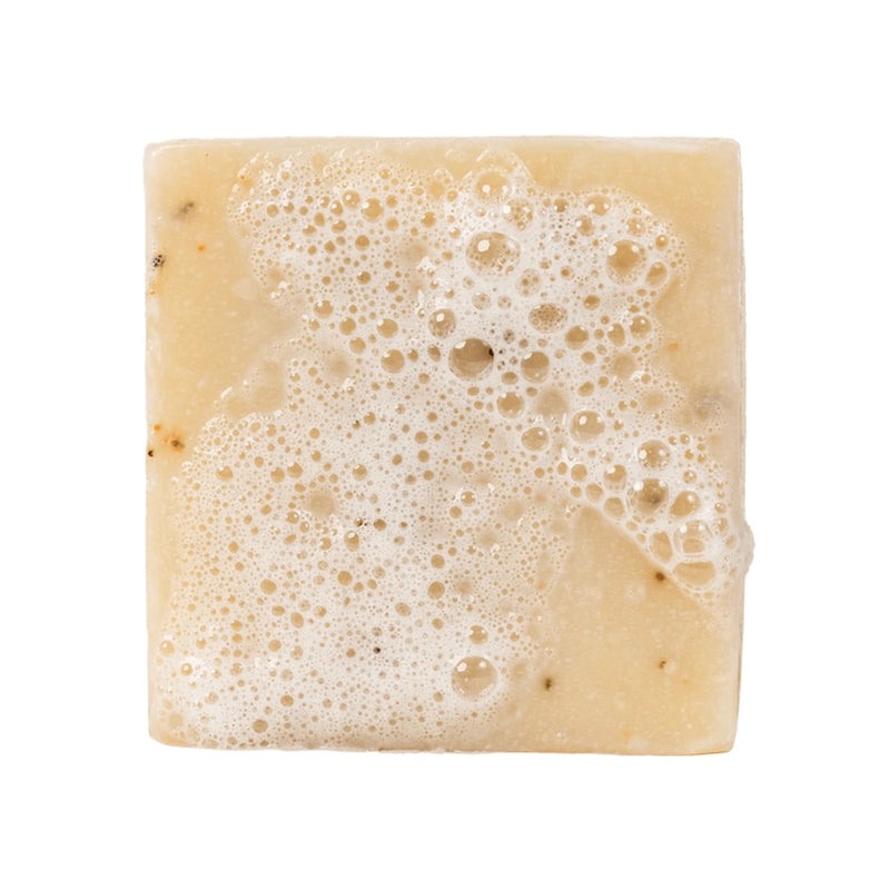 Dr. Squatch Bar Soap, Cedar Citrus